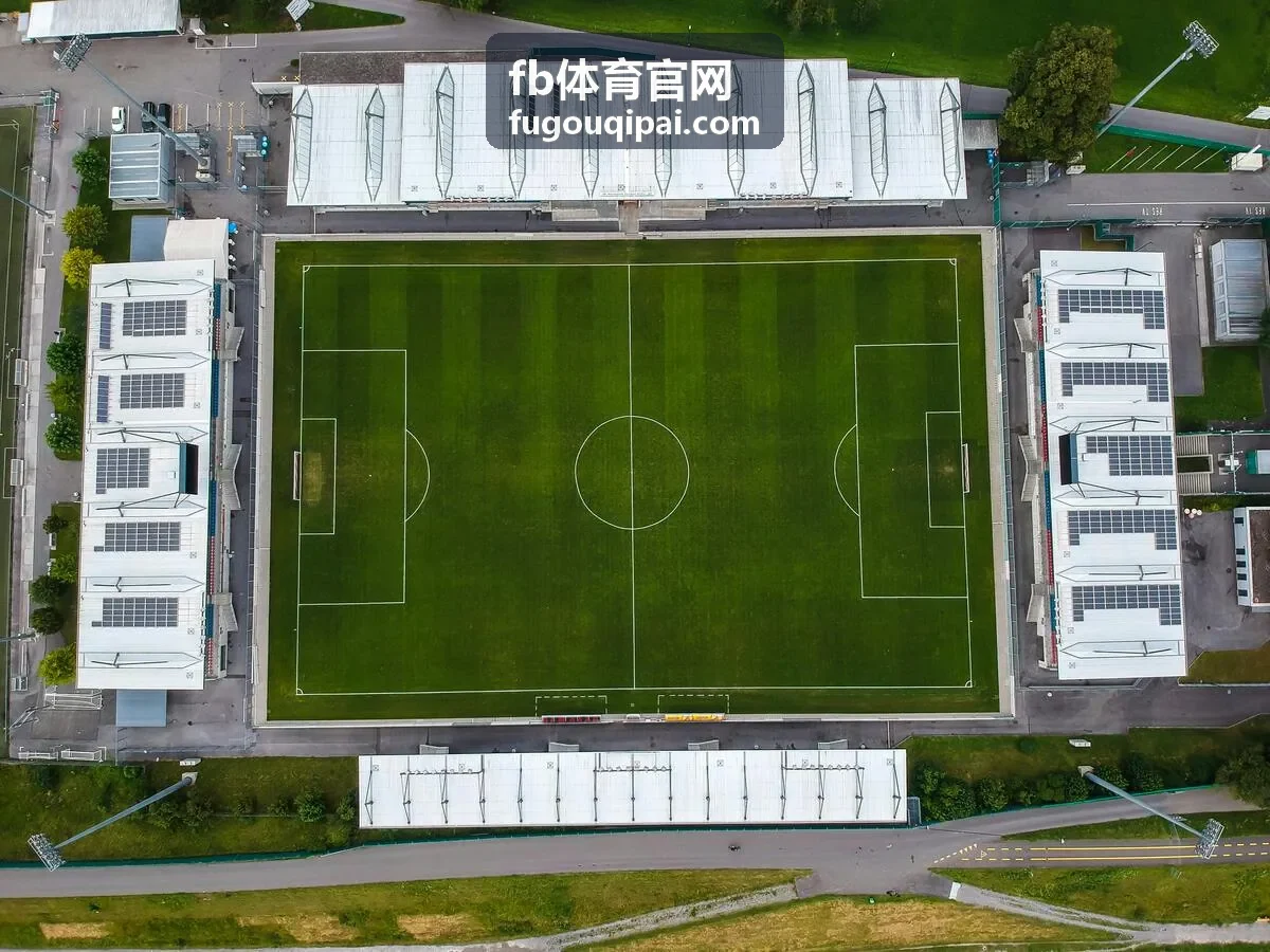 fb体育官网资讯互动体验封面